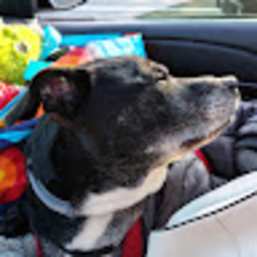 Meet your Posher, Chloe